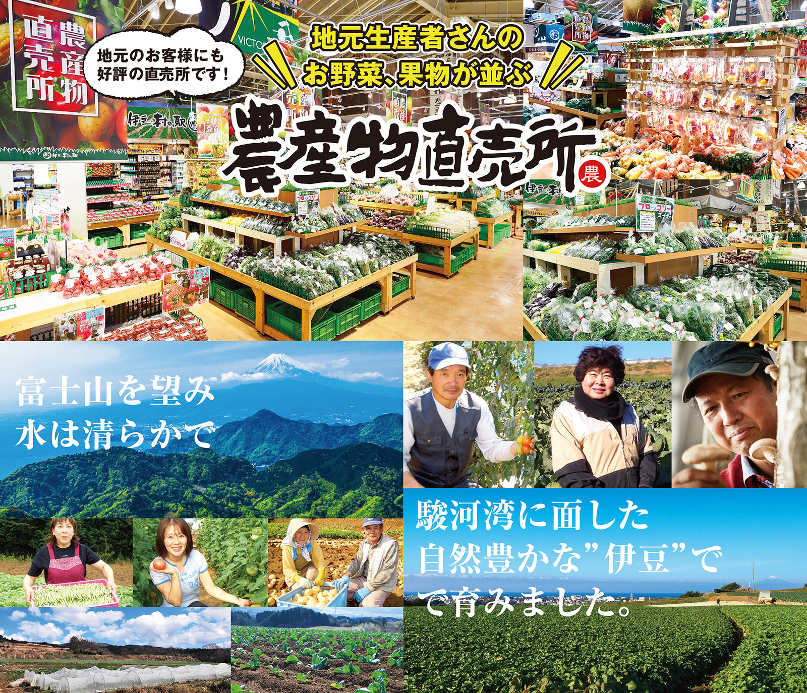 お野菜セット
