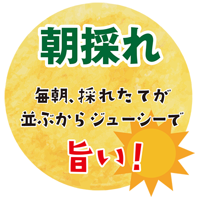 村のコーン