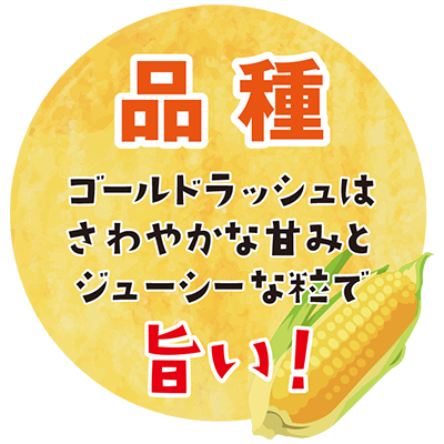 村のコーン