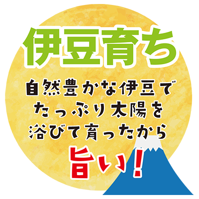 村のコーン