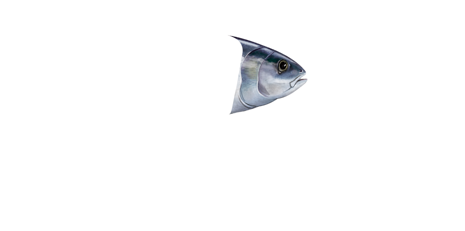 GO TO まぐろキャンペーン